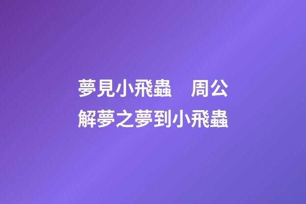 夢見小飛蟲　周公解夢之夢到小飛蟲